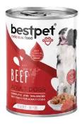 BESTPET DANA ETLI KOPEK MAMASI 400GR  Ünimar Süpermarket