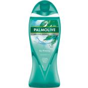 PALMO D.JELI 500ML SO FIRMING  Ünimar Süpermarket