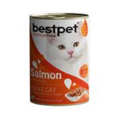 BESTPET SOMON KEDI MAMASI 400GR  Ünimar Süpermarket
