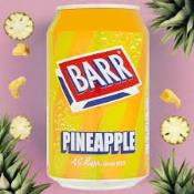 BARR PINEAPPLE 330ML  Ünimar Süpermarket