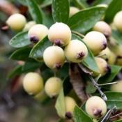 MERSIN PK  Ünimar Süpermarket