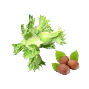 FINDIK TAZE  Ünimar Süpermarket